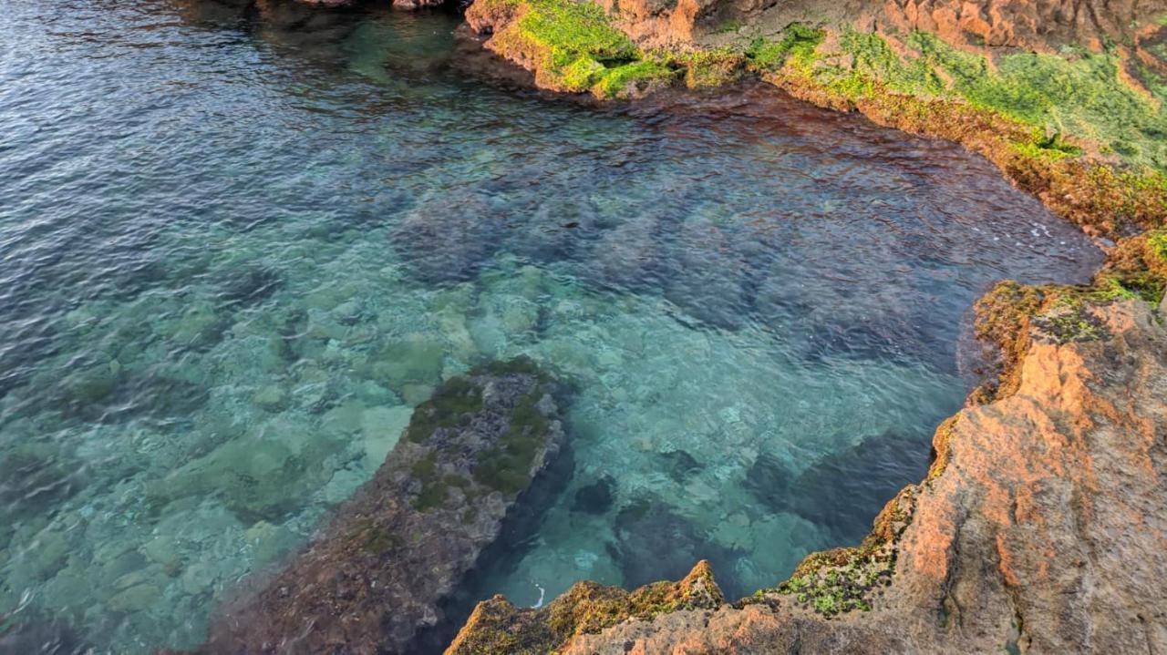 100 Mt Playa De Los Locos Торевьиа Экстерьер фото